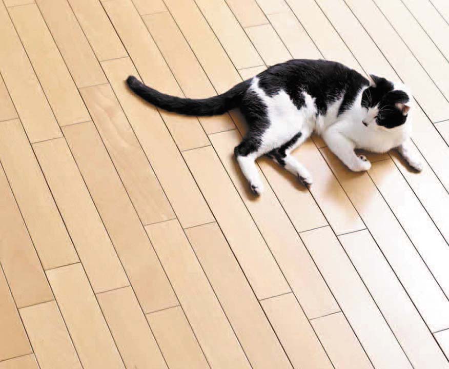 2室に床暖房を設置（リビング・ダイニング／洋室1）
